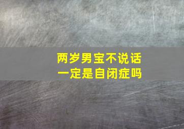 两岁男宝不说话 一定是自闭症吗